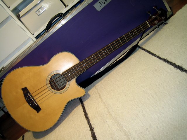 Ibanez AEB30